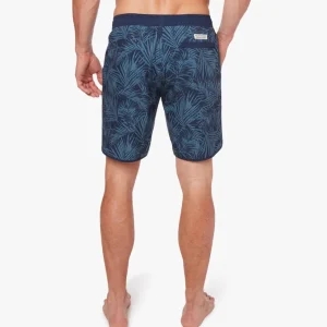 Fair Harbor: The Anchor Grey Flora Volley