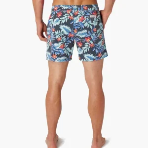 Fair Harbor: The Bungalow Midnight Palms Volley