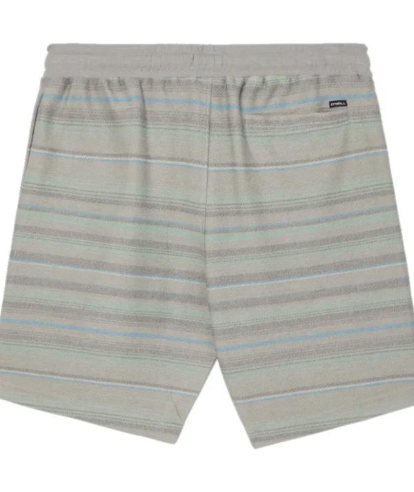 O'Neill: Bavaro Stripe18" Shorts