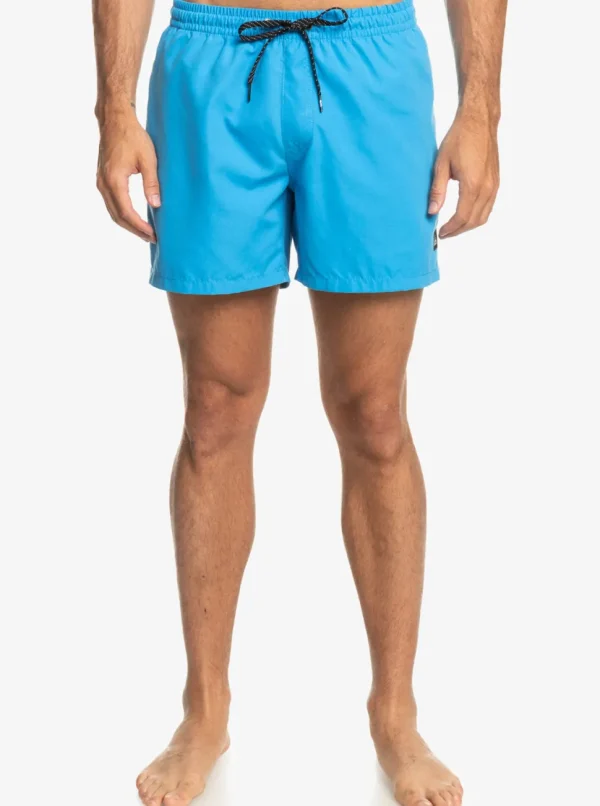 Quiksilver: Everyday 15" Volley