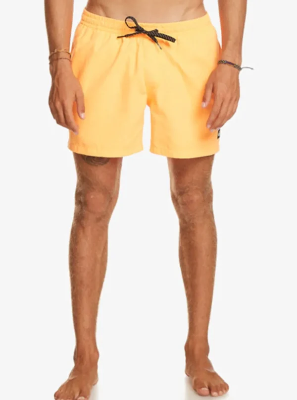 Quiksilver: Everyday 15" Volley