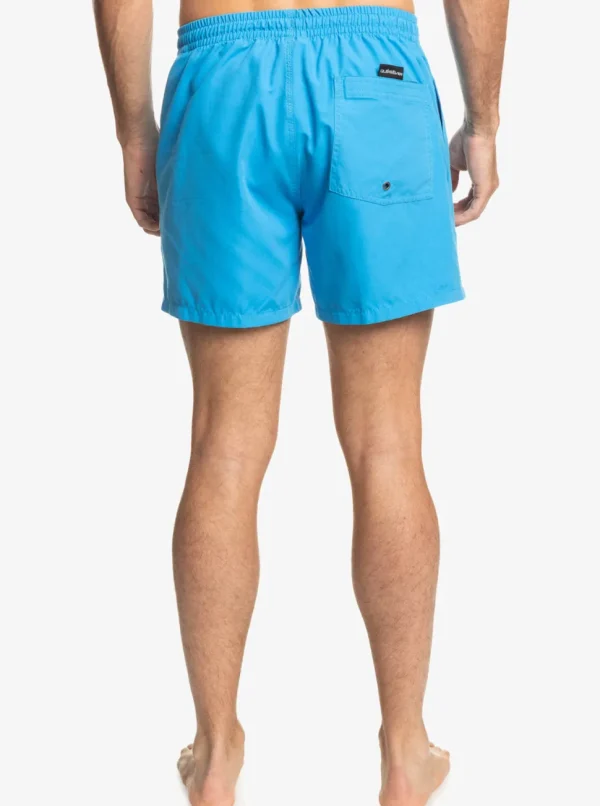Quiksilver: Everyday 15" Volley