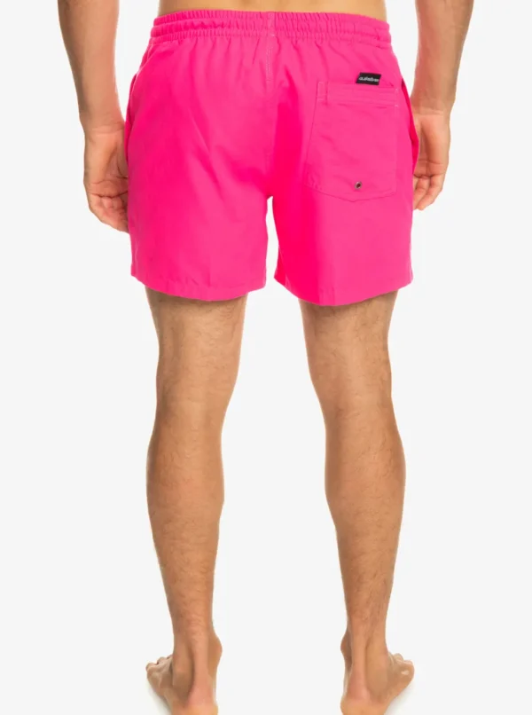 Quiksilver: Everyday 15" Volley
