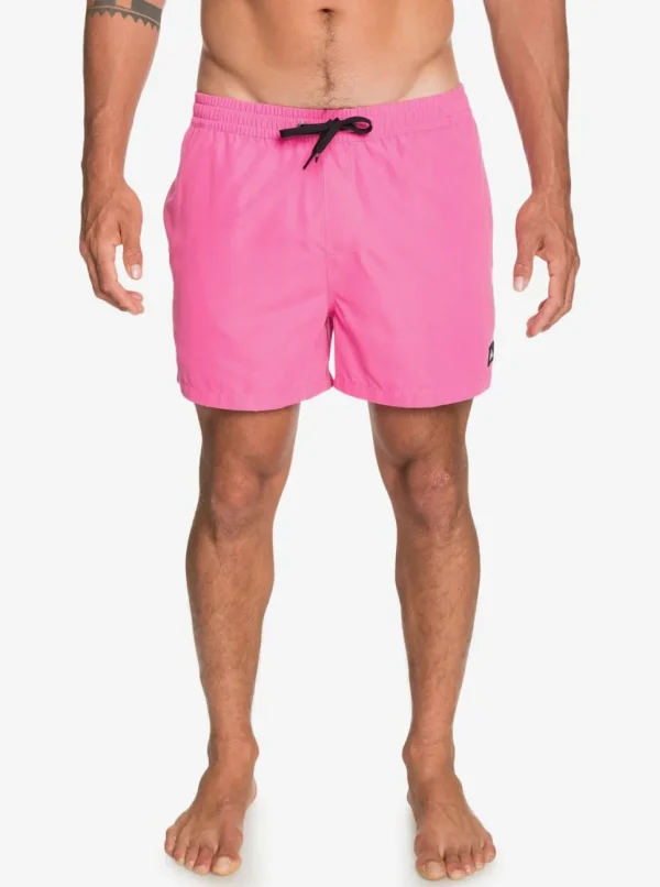 Quiksilver: Everyday 15" Volley