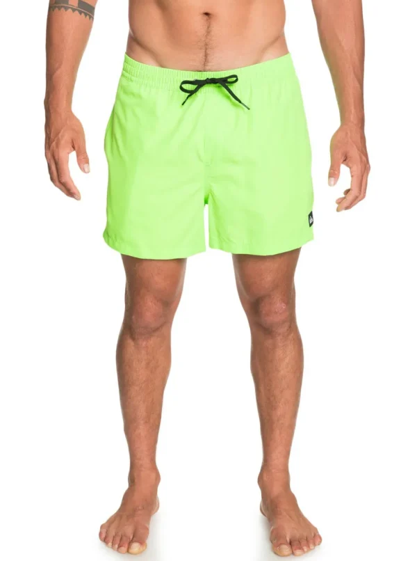 Quiksilver: Everyday 15" Volley