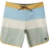 QuiksilverSurfsilk Tijuana 19" Boardshorts